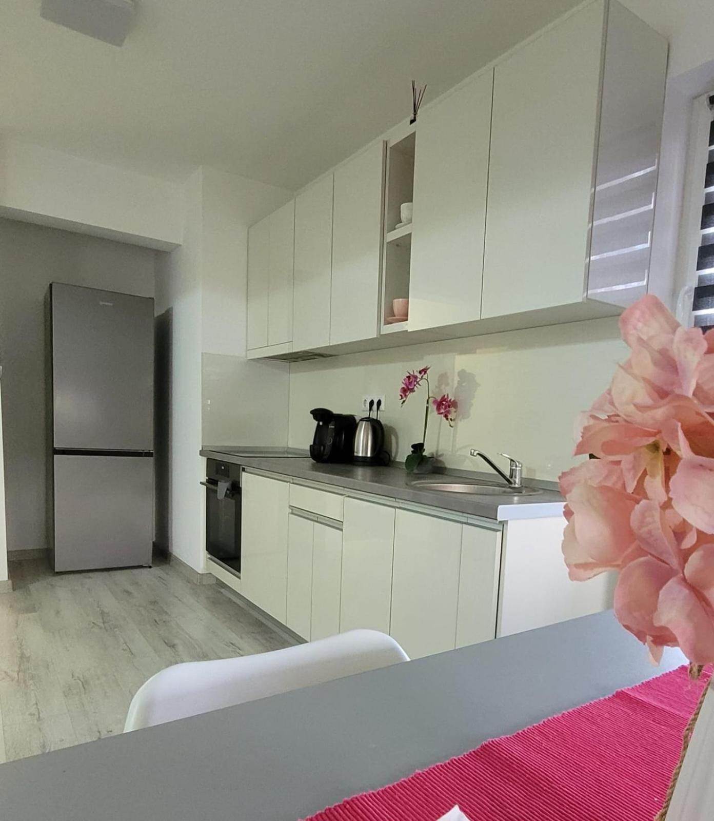 Fortuna Park Apartman Sfântu-Gheorghe 외부 사진