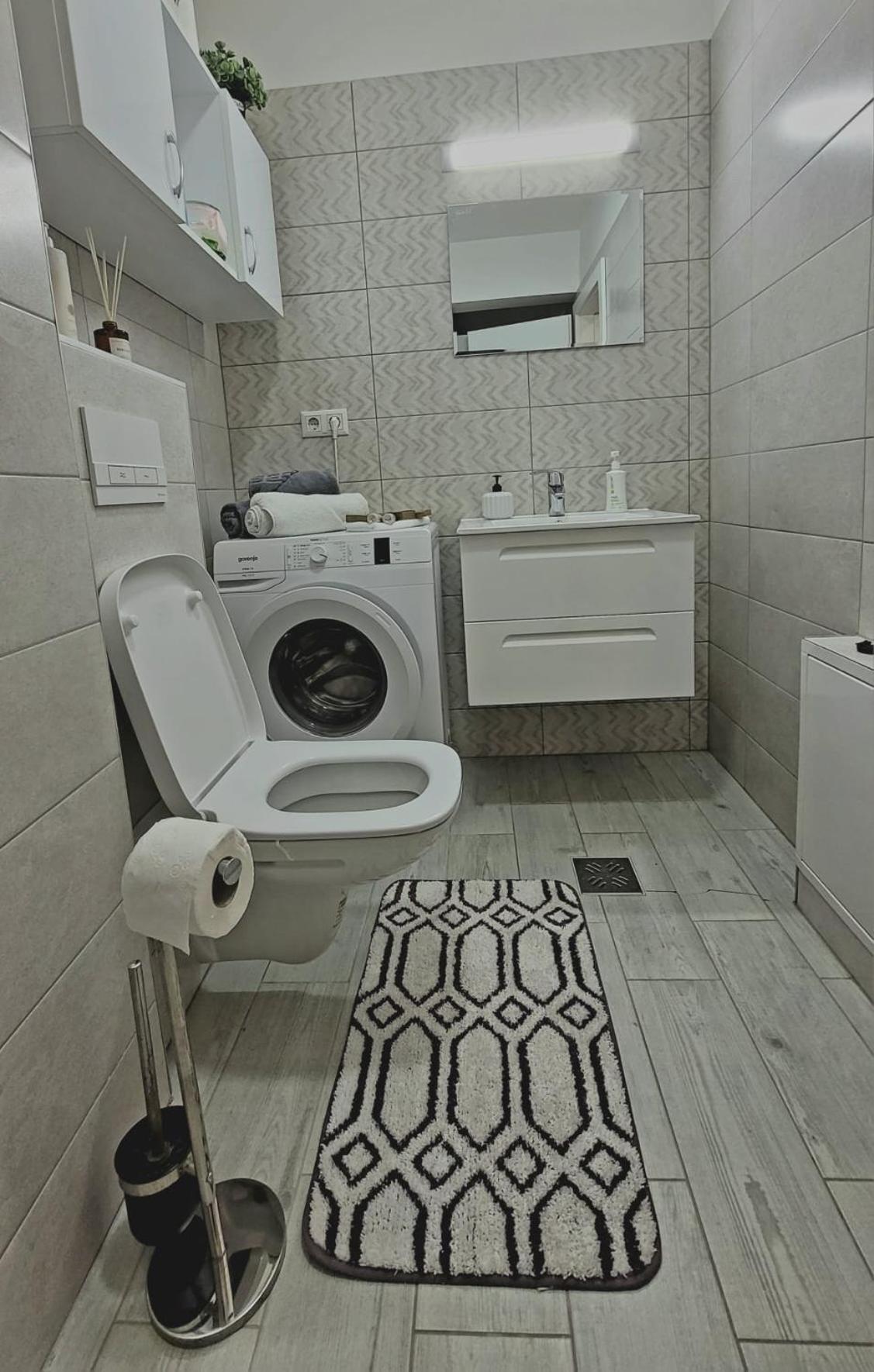 Fortuna Park Apartman Sfântu-Gheorghe 외부 사진